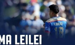 马磊磊直播爆料视频下载,独家爆料视频内容大起底