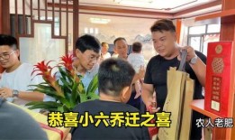 村长爆料小六校长视频播放,小六校长视频播放背后的惊人真相